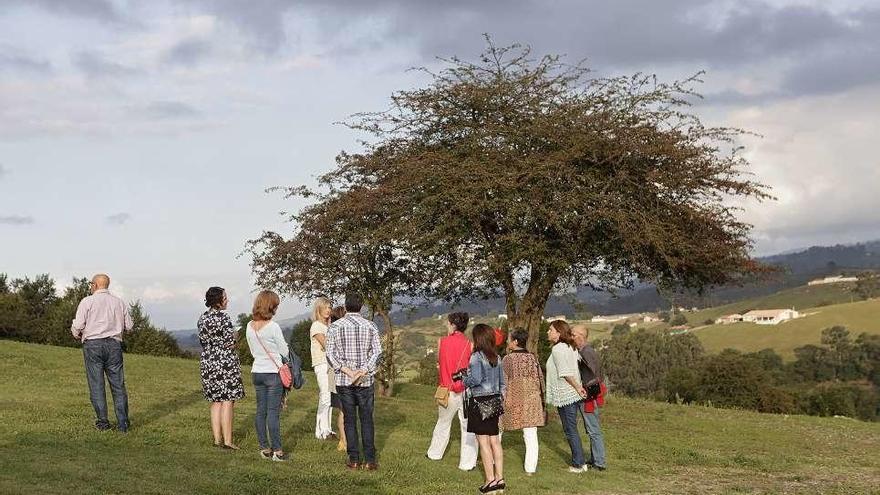 Veranes se abre a la exposición &quot;Flora romana&quot;