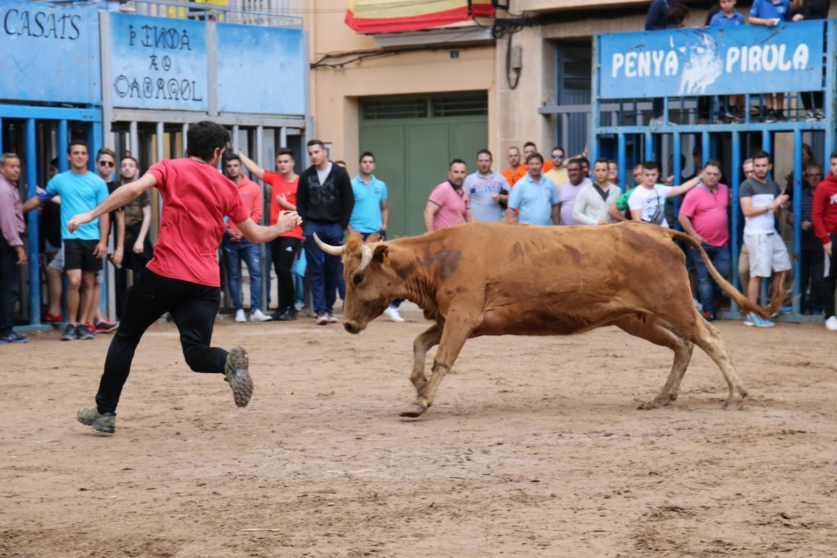 Fiestas patronales de Santa Quitèria de almassora III