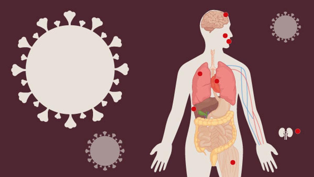 De los pulmones al corazón: las secuelas del covid-19