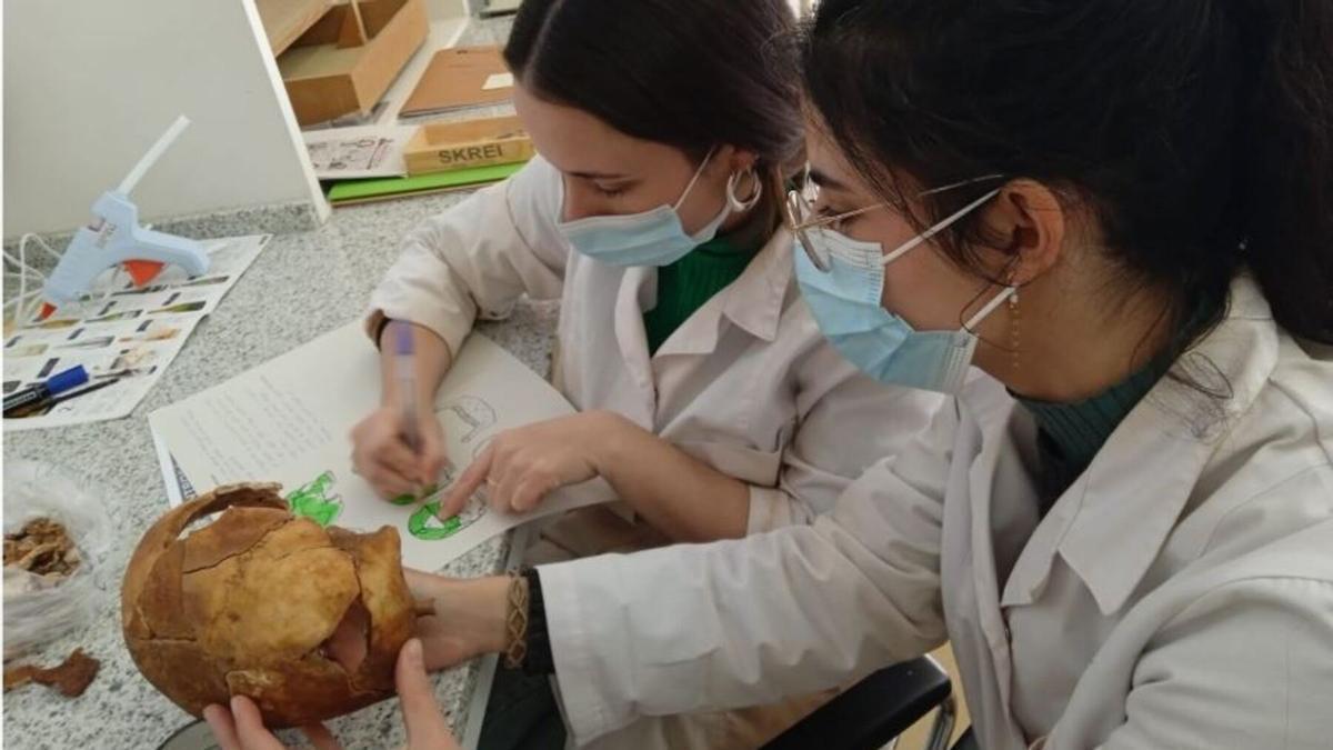 Trabajos de identificación de los restos recuperados de la fosa 126 a cargo de la empresa Atics
