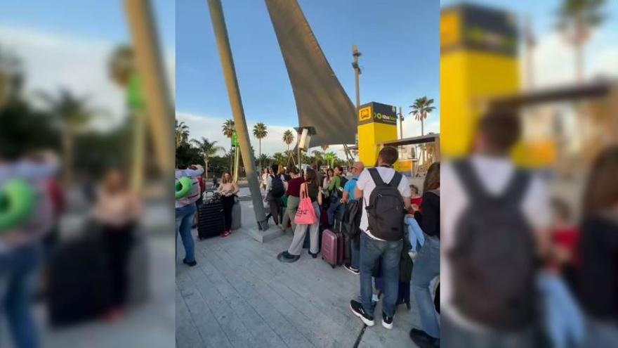 Colas para coger una guagua en el aeropuerto Tenerife Sur