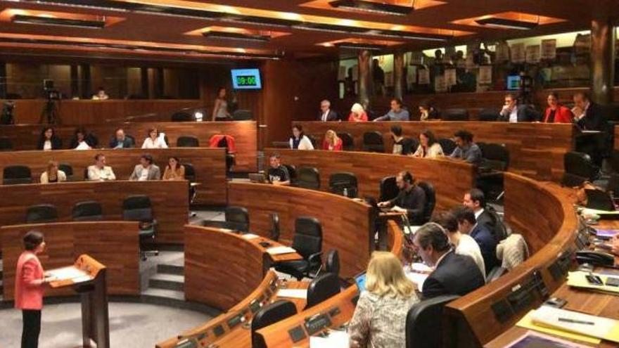 Cualquier persona que intervenga en la Junta General podrá hablar en asturiano