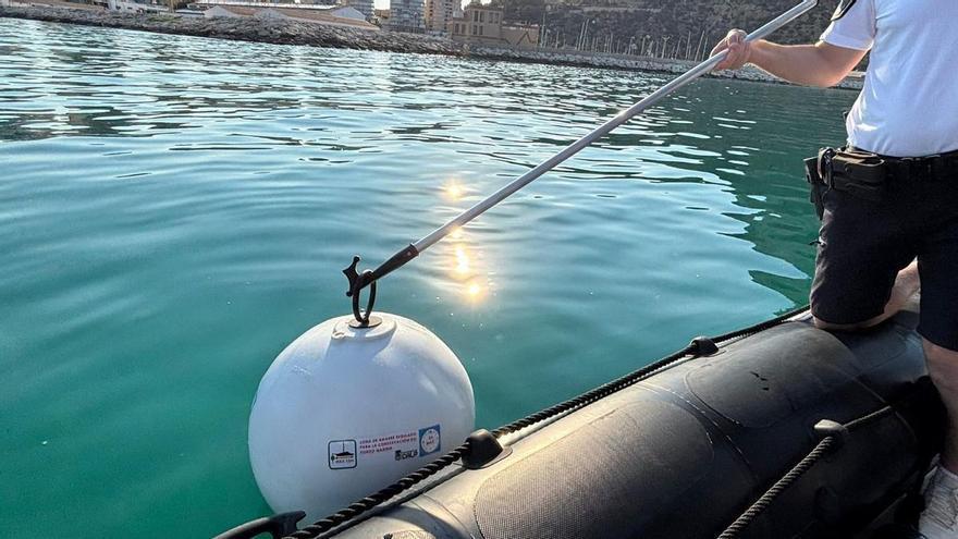 Calp instala fondeos ecológicos para evitar que las embarcaciones tiren el ancla y dañen la pradera de posidonia