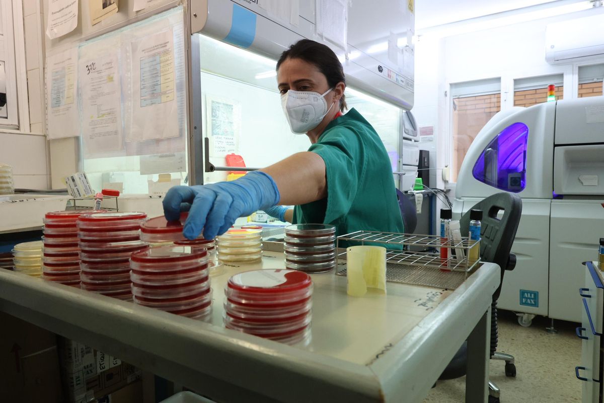 Laboratorio de Microbiología del Hospital General de Castelló.