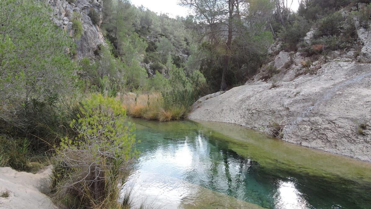 Río Cazuma, Bicorp.