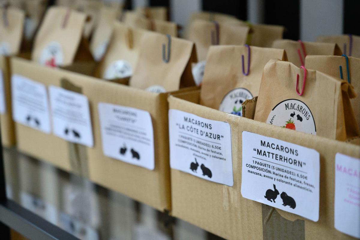 En imágenes | Así es la primera pastelería para mascotas en Aragón
