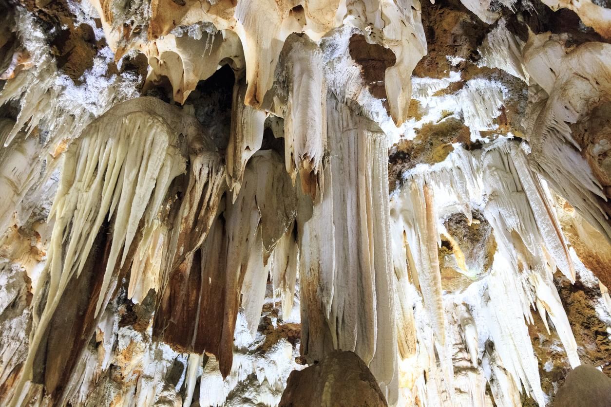 Aguila de la gruta, Ávila, España