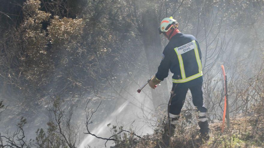 La superficie incendiada en Ibiza se redujo un 61% el pasado año