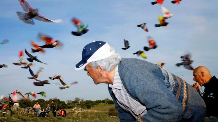 El Centro Niemeyer llena su plaza de palomas a la carrera en su próxima exposición