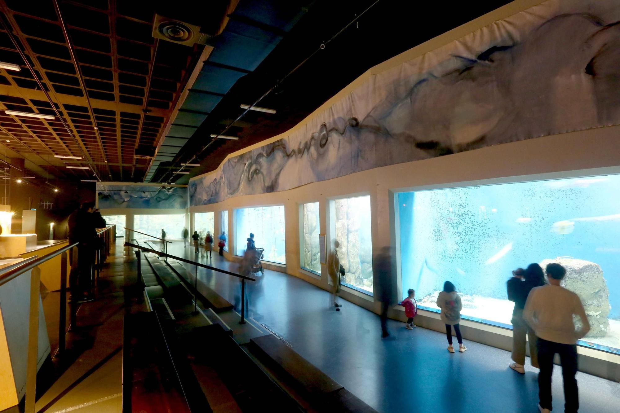 Un mural de 60 metros de largo conmemora el 25 aniversario del Aquarium de A Coruña