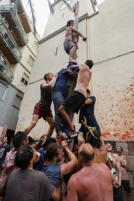 Tomatina de Buñol 2017