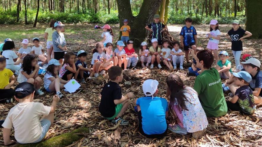 Réplica de huellas, recogida de plásticos y supervivencia en el Campamento Verde