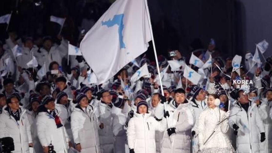 La bandera va ser portada per un esportista de Corea del Nord i un altre de Corea del Sud.