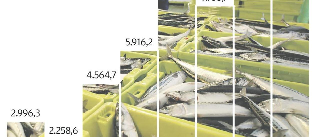 Pesca acepta analizar cambios en el reparto de cuotas entre regiones
