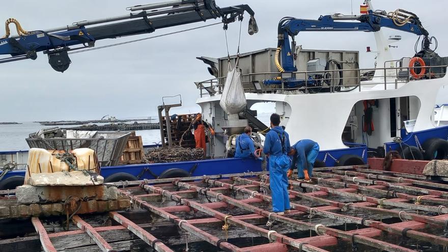 Así es el trabajo en la batea cuando el mejillón flojea