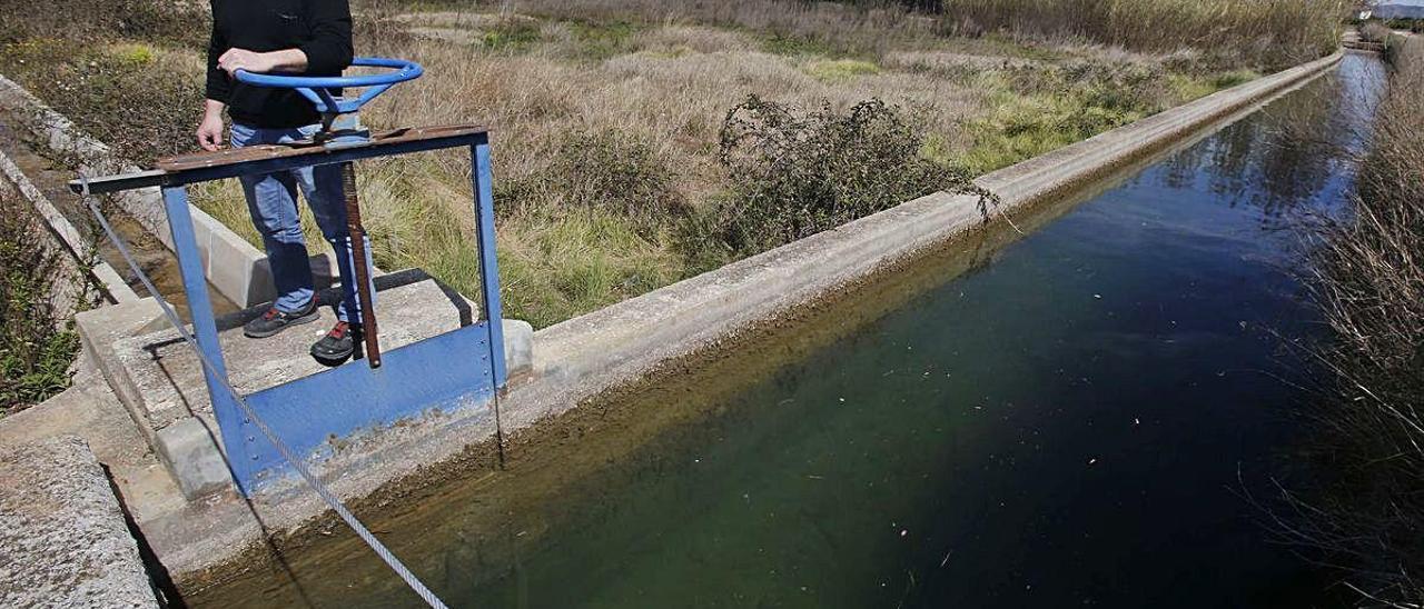 La Real Acequia de Escalona invertirá 4,5 millones en dos macrobalsas de riego