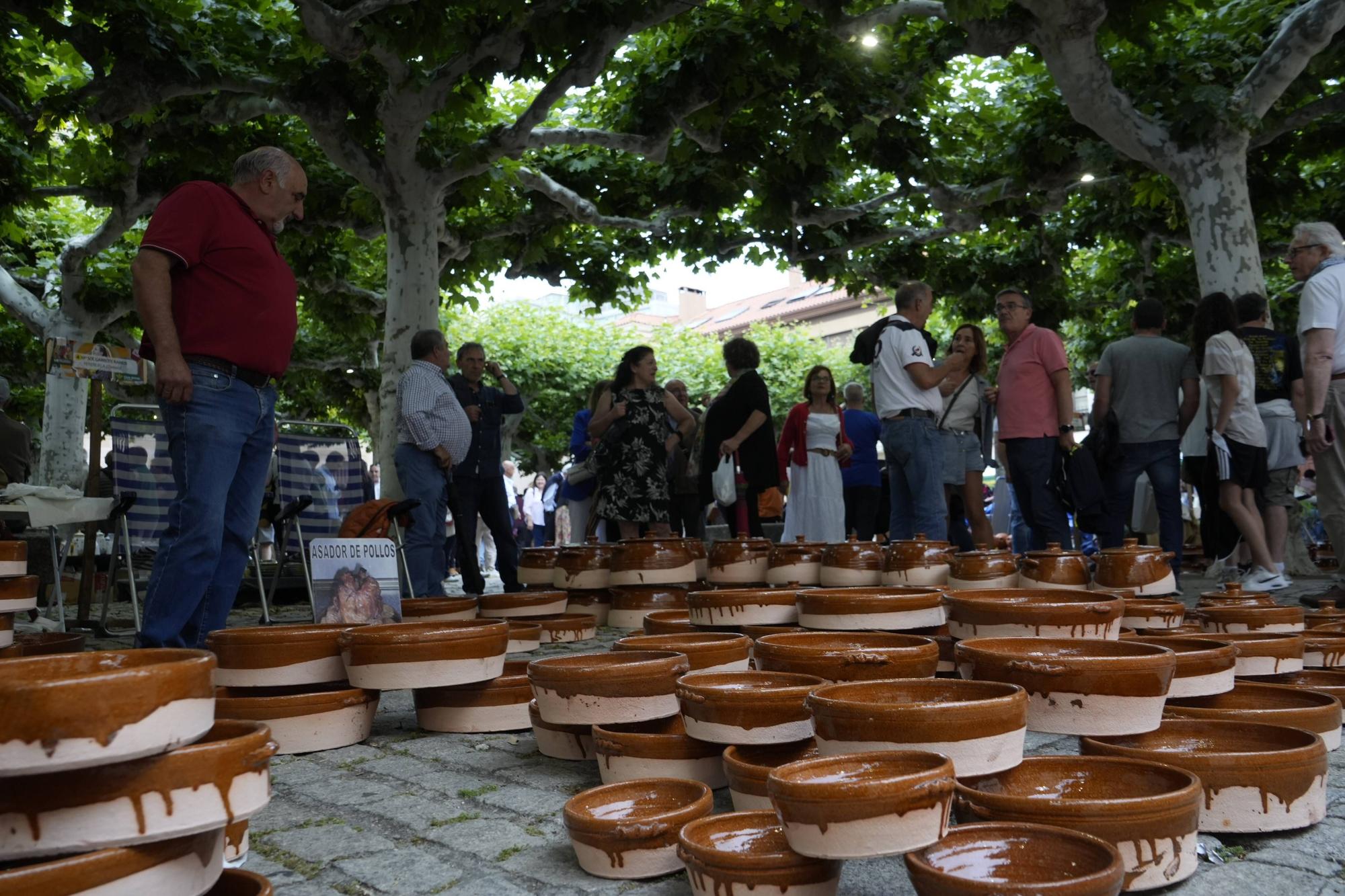 Zamora. Plaza Viriato. Feria del barro y la cerámica