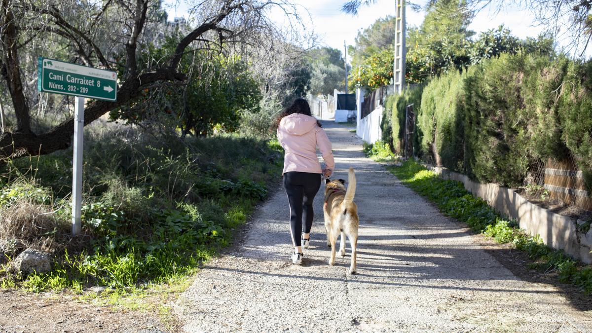 Una vecina pasea con su perro por un camino del Carraixet, en una imagen de archivo.