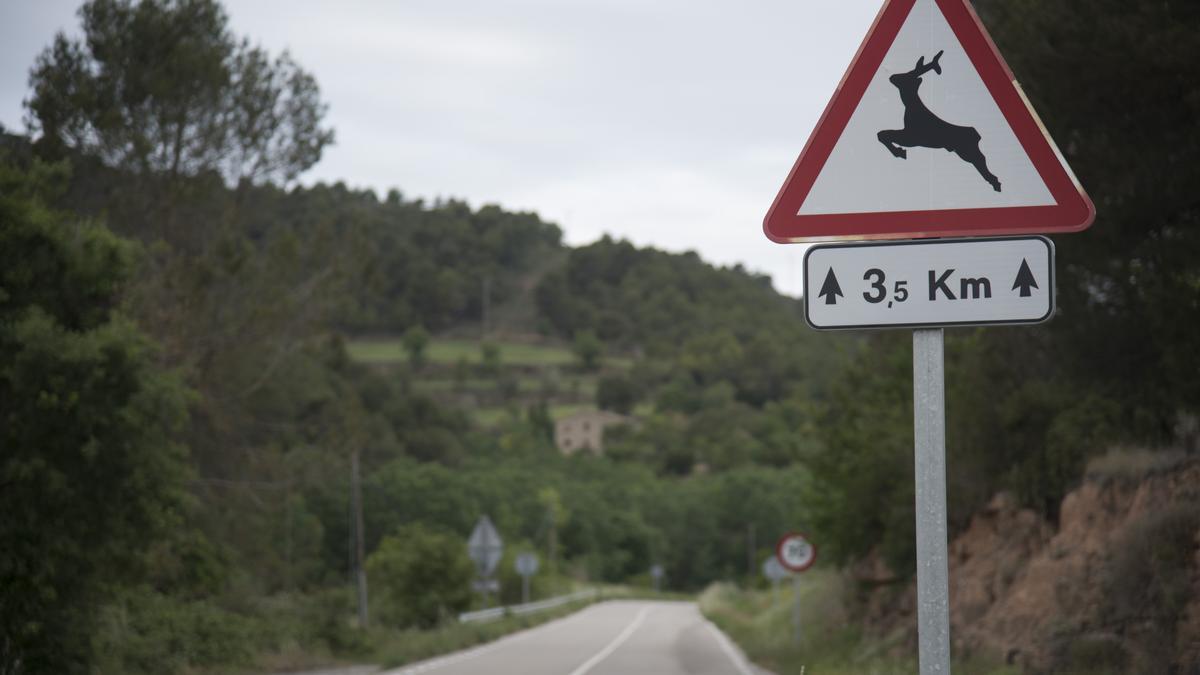 Una senyal adverteix d&#039;un tram on hi pot haver fauna salvatge