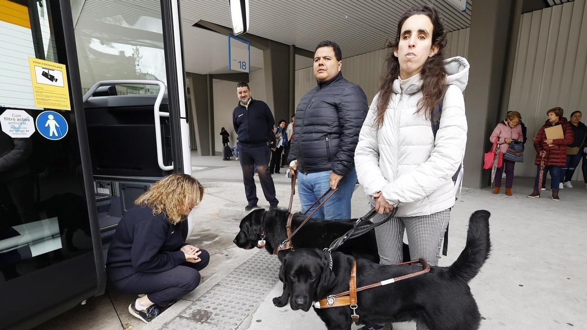 Corina y Anthony son dos jóvenes ciegos que viajan en autobús a diario entre Vigo y Pontevedra con sus perros guía.