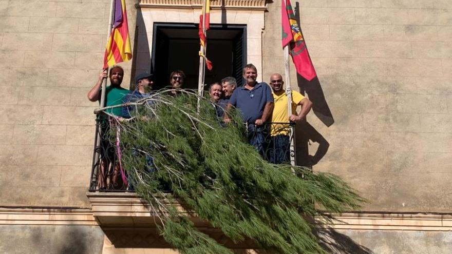 El ‘brot de pi’ ya cuelga en Santa Maria como anticipo de la Festa del Vi Novell