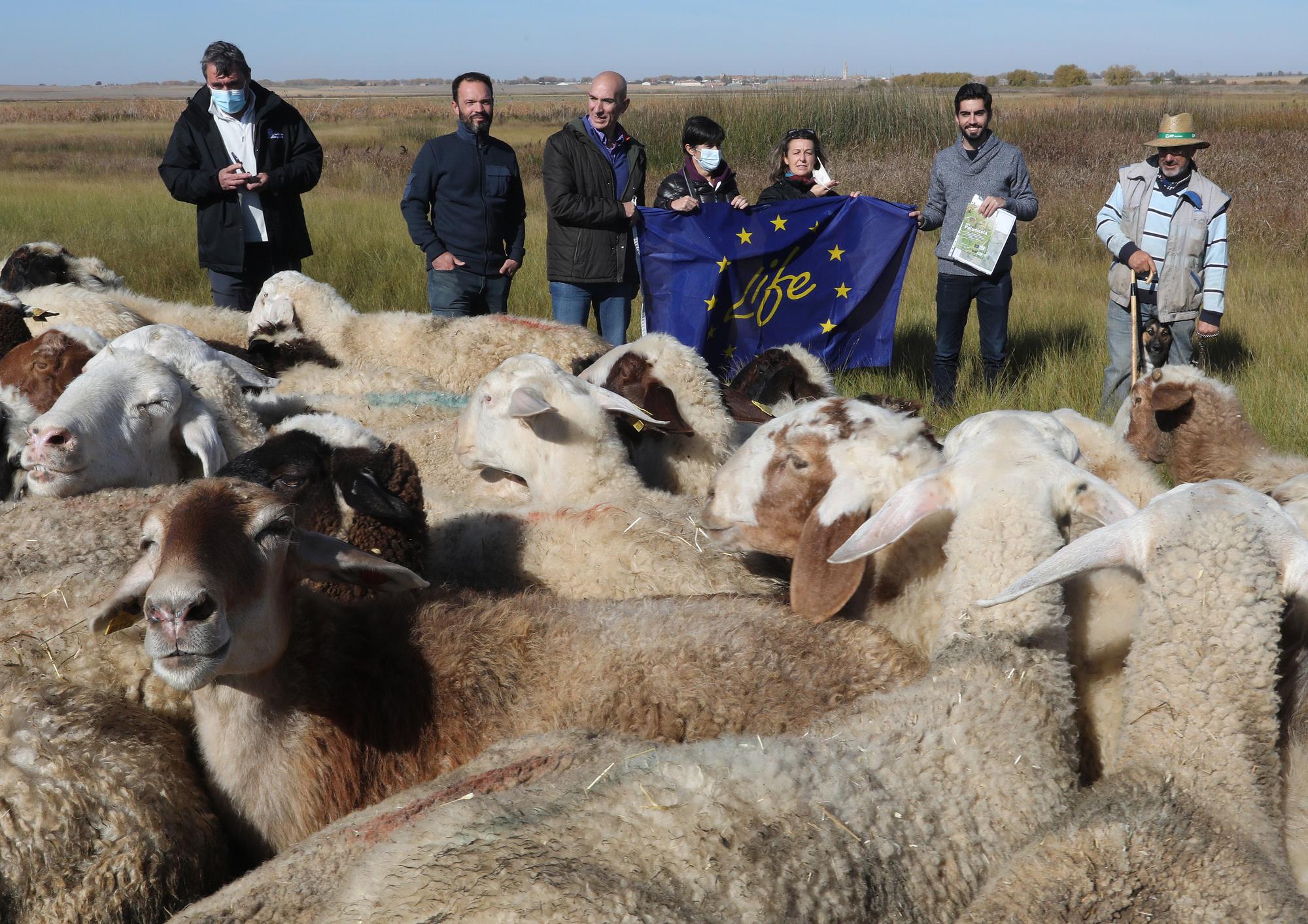 La Coordinadora de Proyectos Clima, Medio Ambiente e Infraestructuras de la Comisión Europea analizar los resultados del proyecto &#039;LIFE Paludicola&#039; en Palencia.