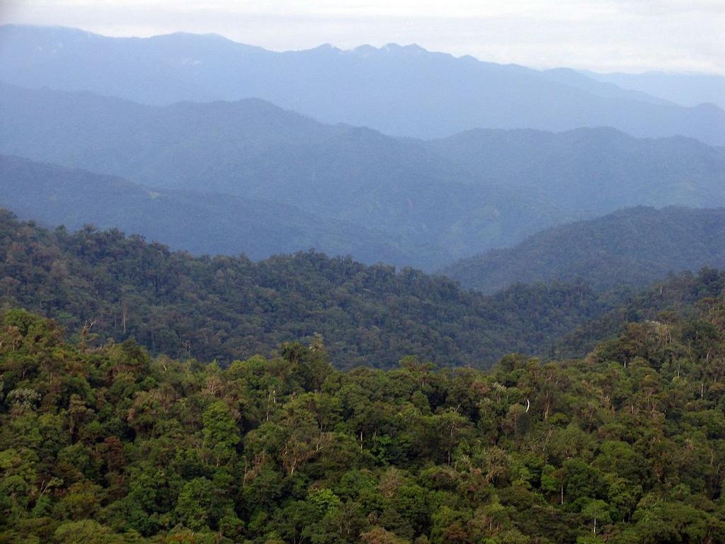 Parque Internacional de La Amistad, Panamá