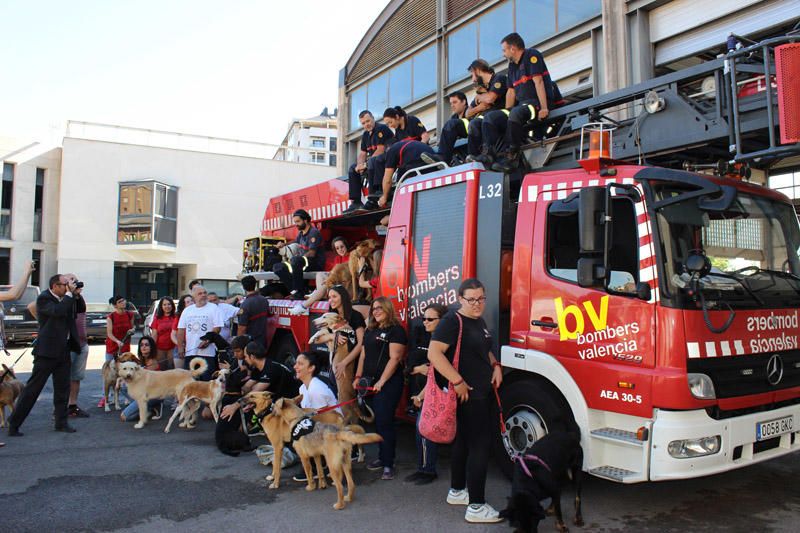 Los Bomberos de Valencia, con la adopción de mascotas