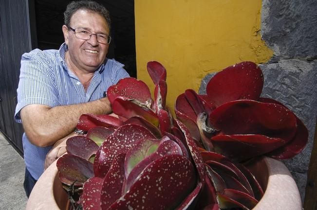 REPORTAJE BODEGA LA MONTAÑA