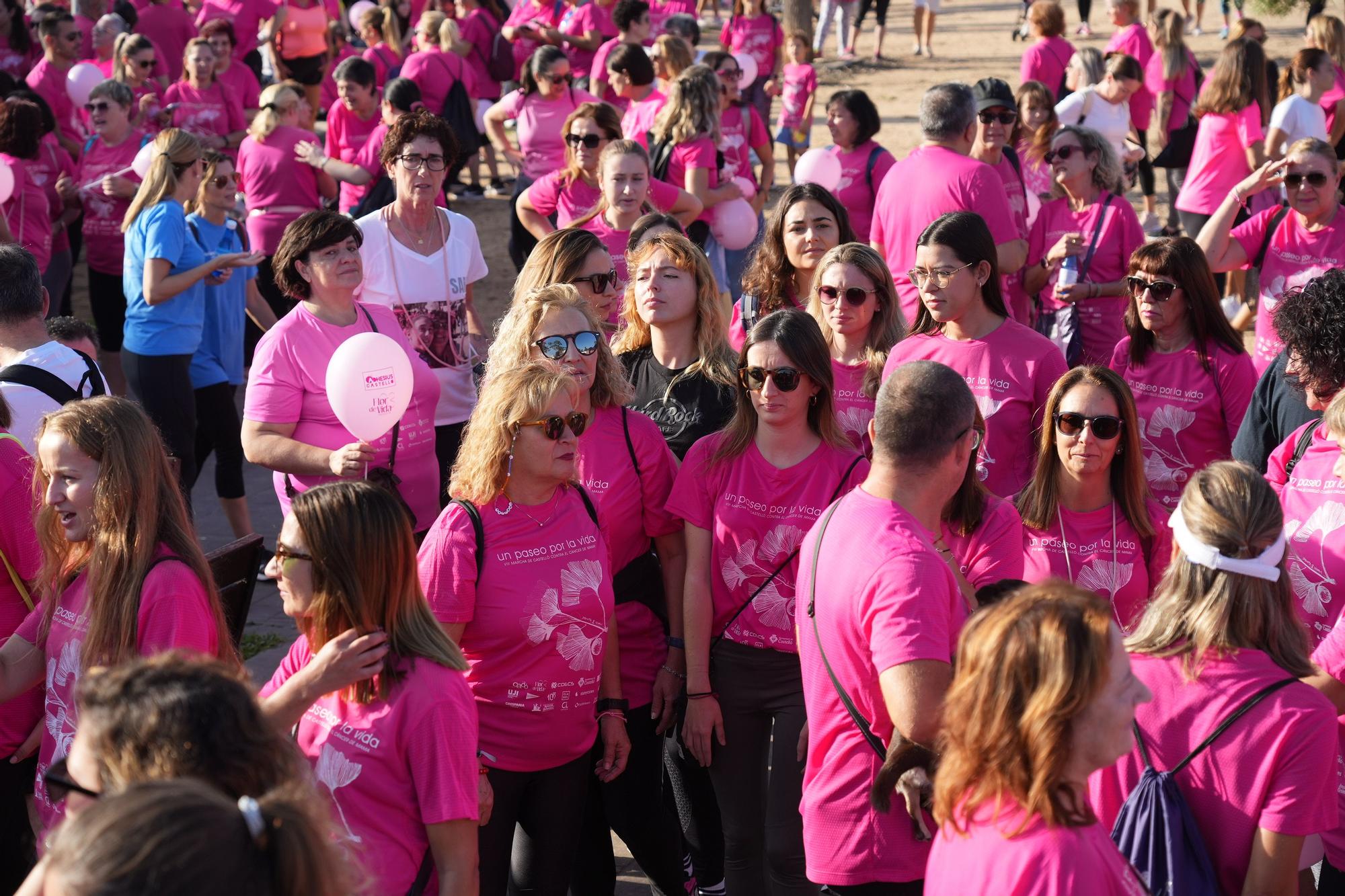 Búscate en la Marcha Contra el Cáncer de Mama de Castelló - El Periódico  Mediterráneo