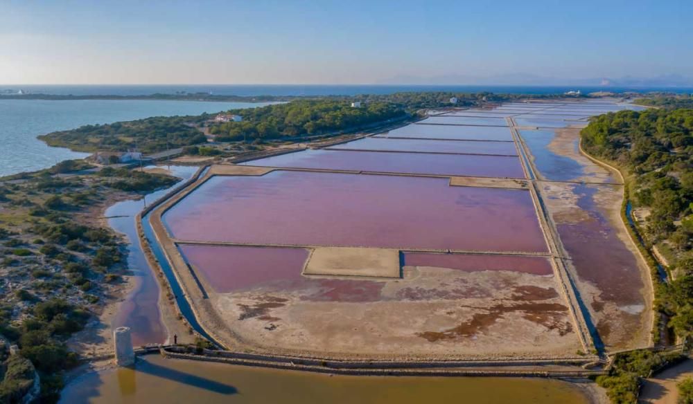 La recuperación de las salinas en Formentera