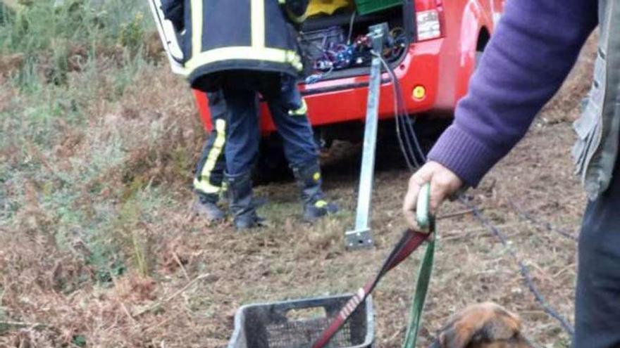 Rescatan a dos perros en un pozo  |  Los bomberos del Parque Intercomarcal de Silleda realizaron ayer por la tarde el rescate de dos perros en un pozo de los montes de A Feira Nova, en la parroquia de Brántega (Agolada). Los animales se encontraban en un foso de unos 20 metros de profundidad y accedieron al mismo a través de una mina aledaña siguiendo el rastro de alguna presa. Los propietarios, cazadores, localizaron a los animales atrapados y alertaron al servicio de emergencias que se deslizó por el pozo y rescató a los dos animales.