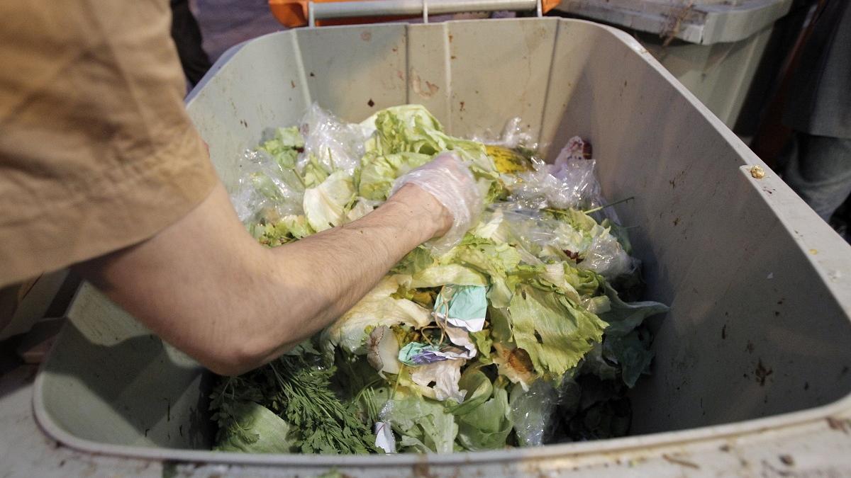 Alimentos arrojados a la basura, en una imagen de archivo.