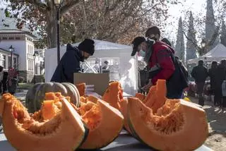 Artesania, Nadal i cultura popular a la Fira de Santa Llúcia de Sallent