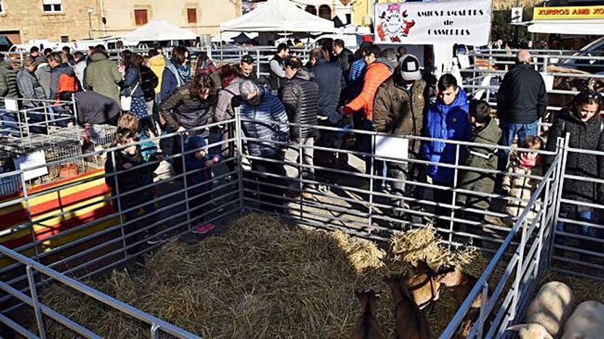 El creixement de la zona d&#039;exposició de bestiar va fer que la mostra s&#039;ampliés cap als carrers del voltant