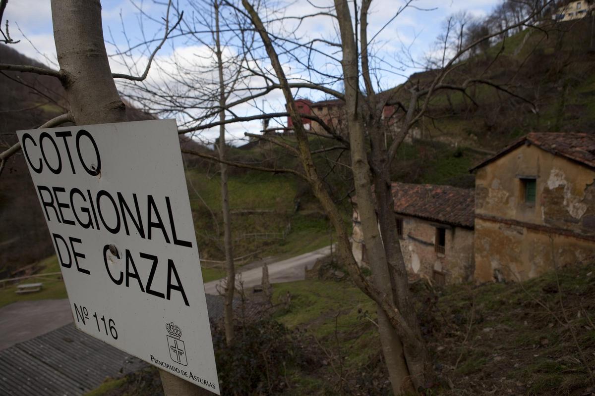 La zona de El Carbayal, en Langreo.