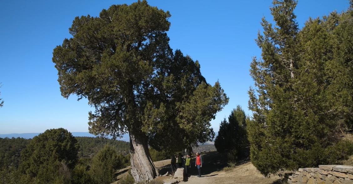 Acompañaron a Ferris y Blanco en la grabación Dunia Casino, educadora ambiental del Parque Natural, y dos integrantes del Club Alpino El Rincón.