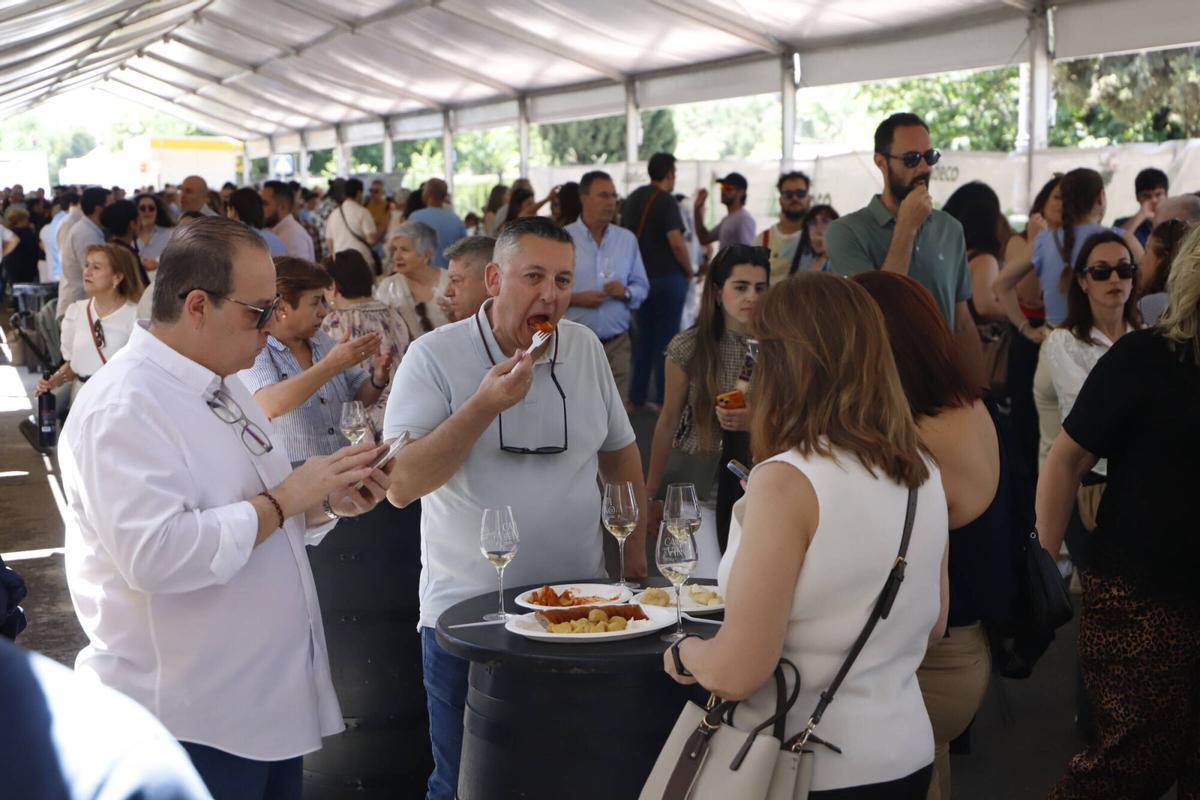 Catas de vino domingo