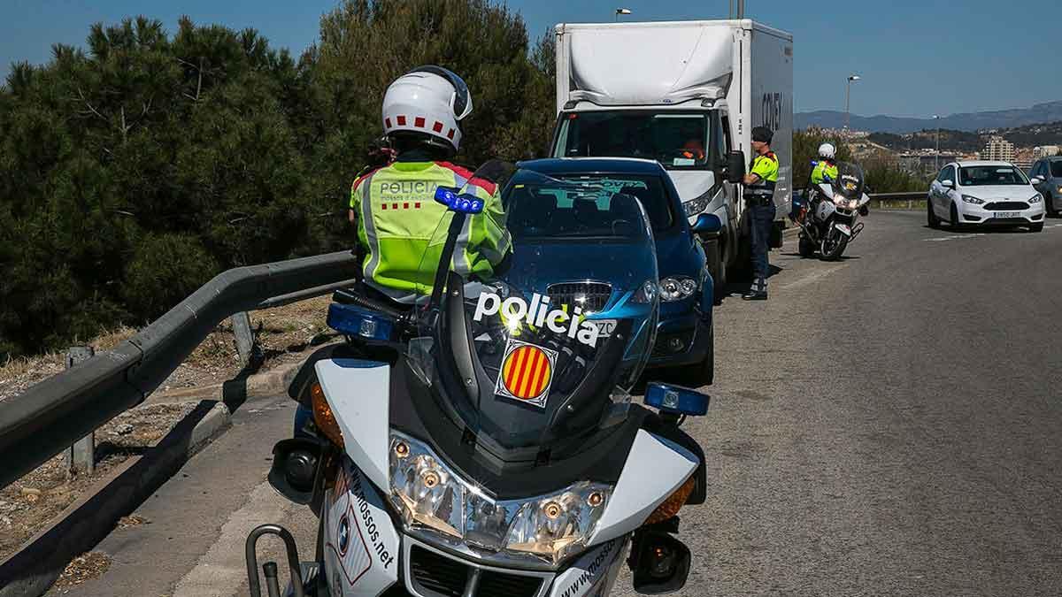 mossos