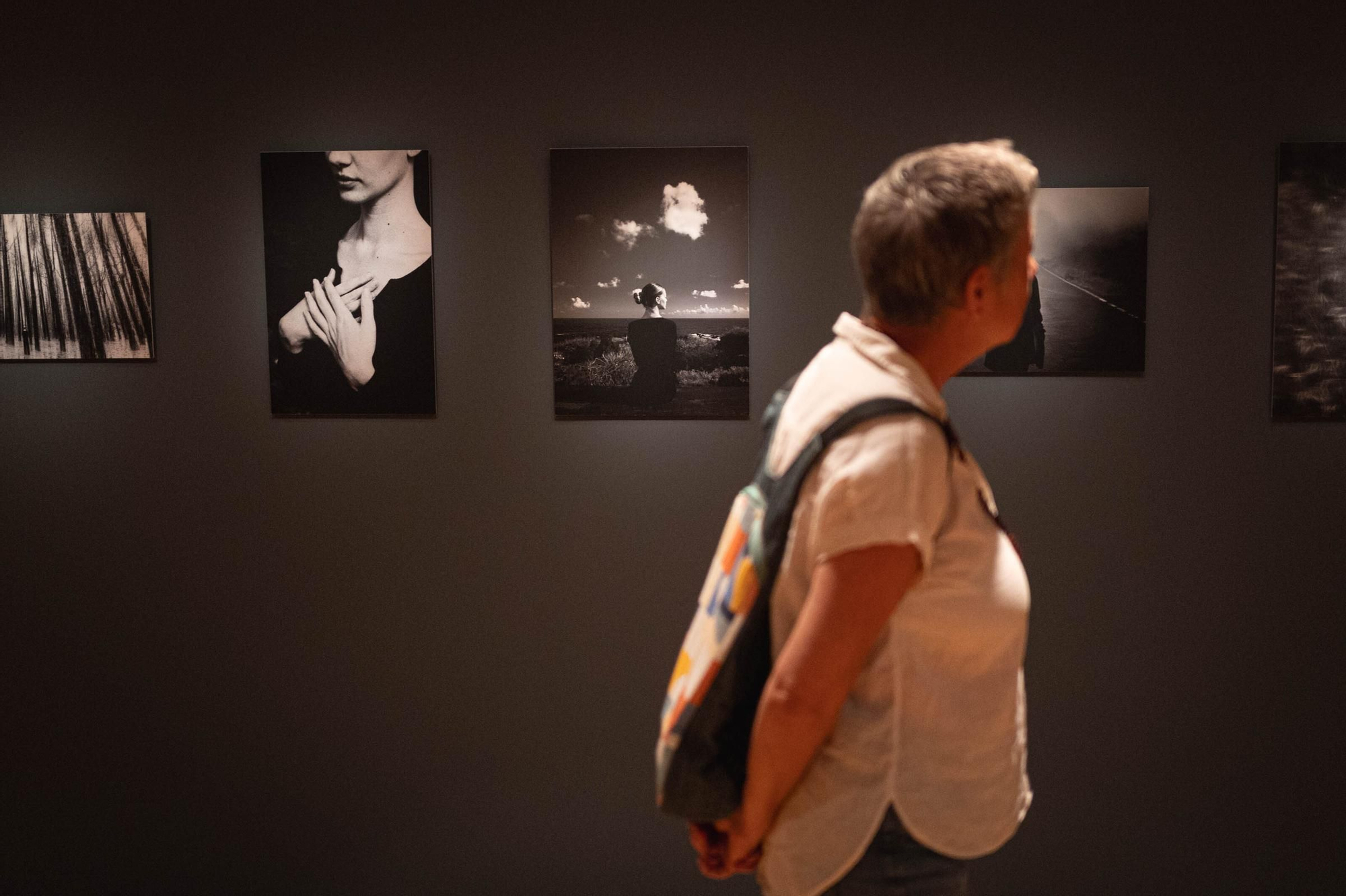 Exposición de seleccionados de los Premios de Artes Plásticas CajaCanarias
