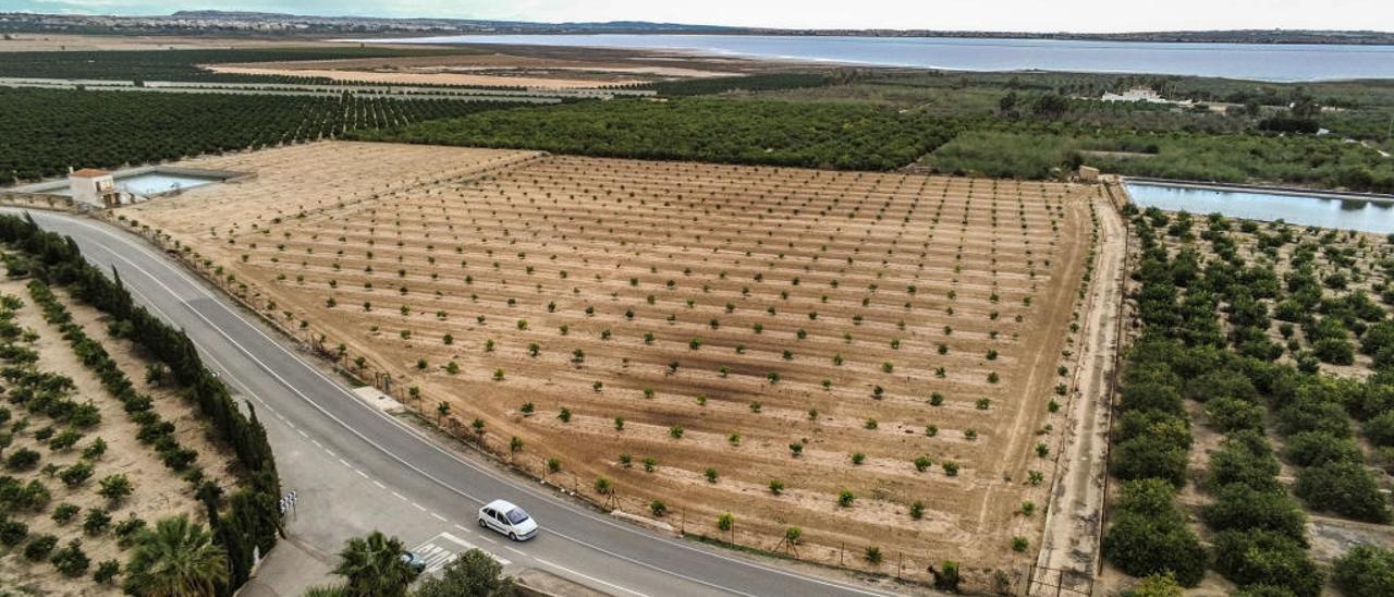 Imagen de la zona propuesta para la planta de residuos con la carretera comarcal de acceso y la laguna de Torrevieja al fondo