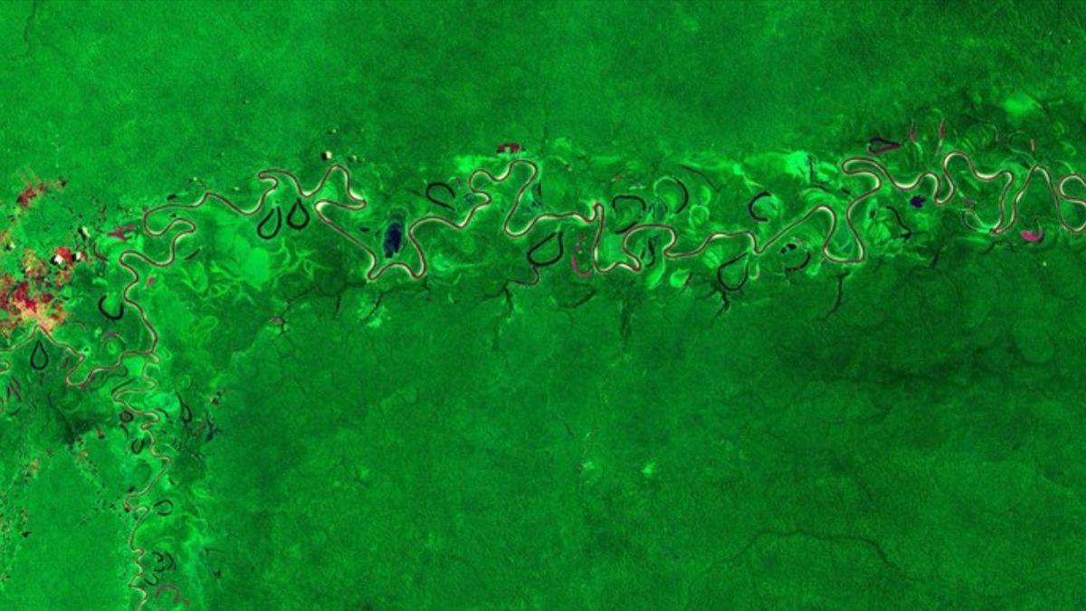 Imagen de la misión Copernicus Sentinel-2 que muestra parte de la selva en el Amazonas.