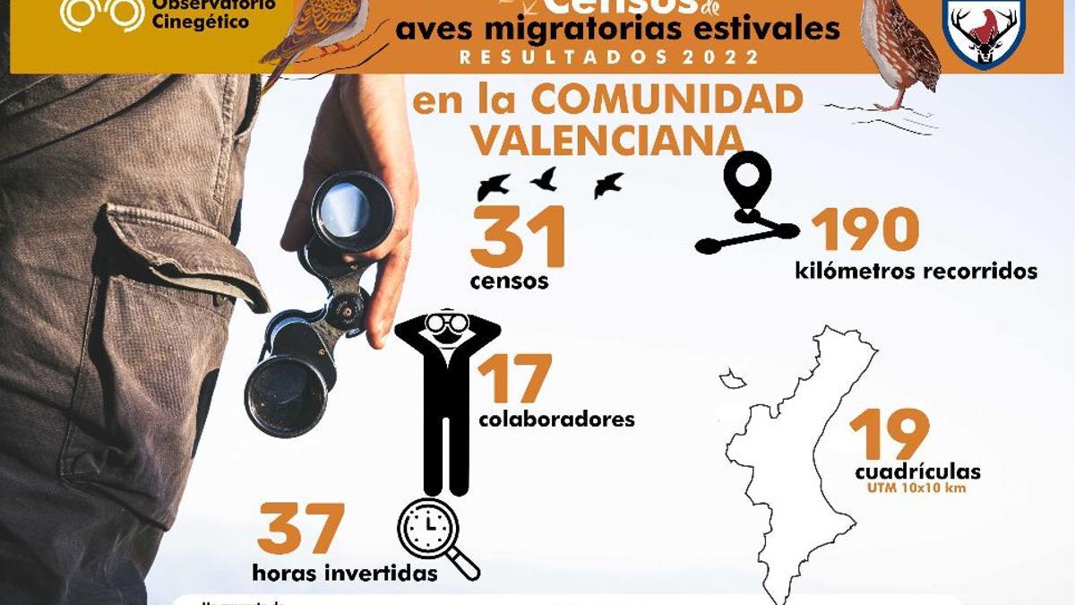 Las aves migratorias estivales de València en el año 2022.