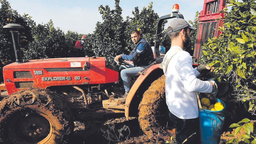 Los agricultores de Castellón pagan un 285% más por los fertilizantes y regar es el doble de caro