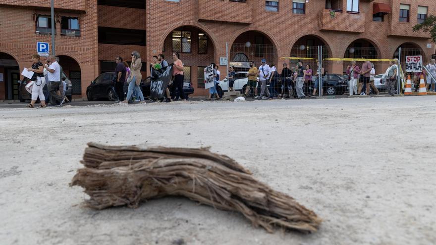 Nueva protesta en San Blas contra la tala de árboles en Alicante