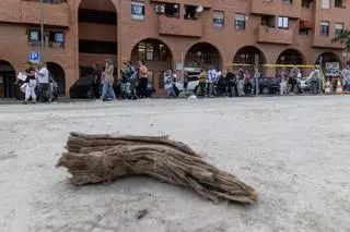 Los vecinos de San Blas vuelven a manifestarse contra la tala de árboles