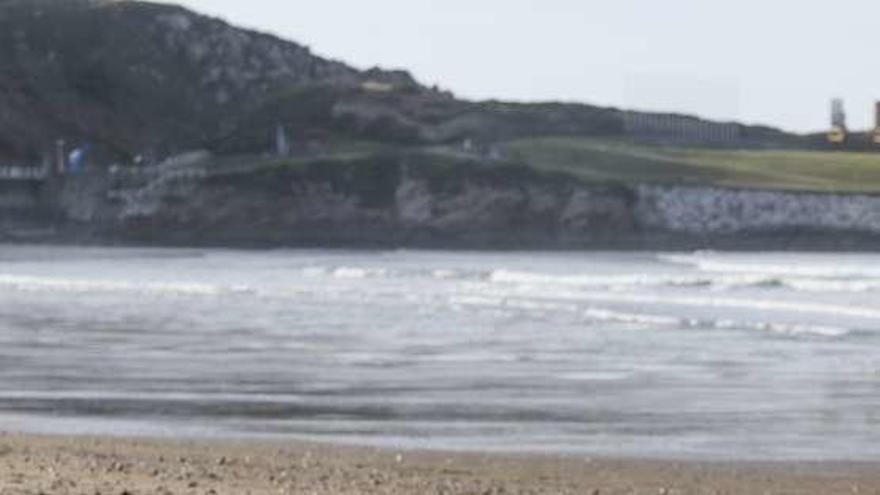 El delfín muerto, ayer, en la playa de Salinas.