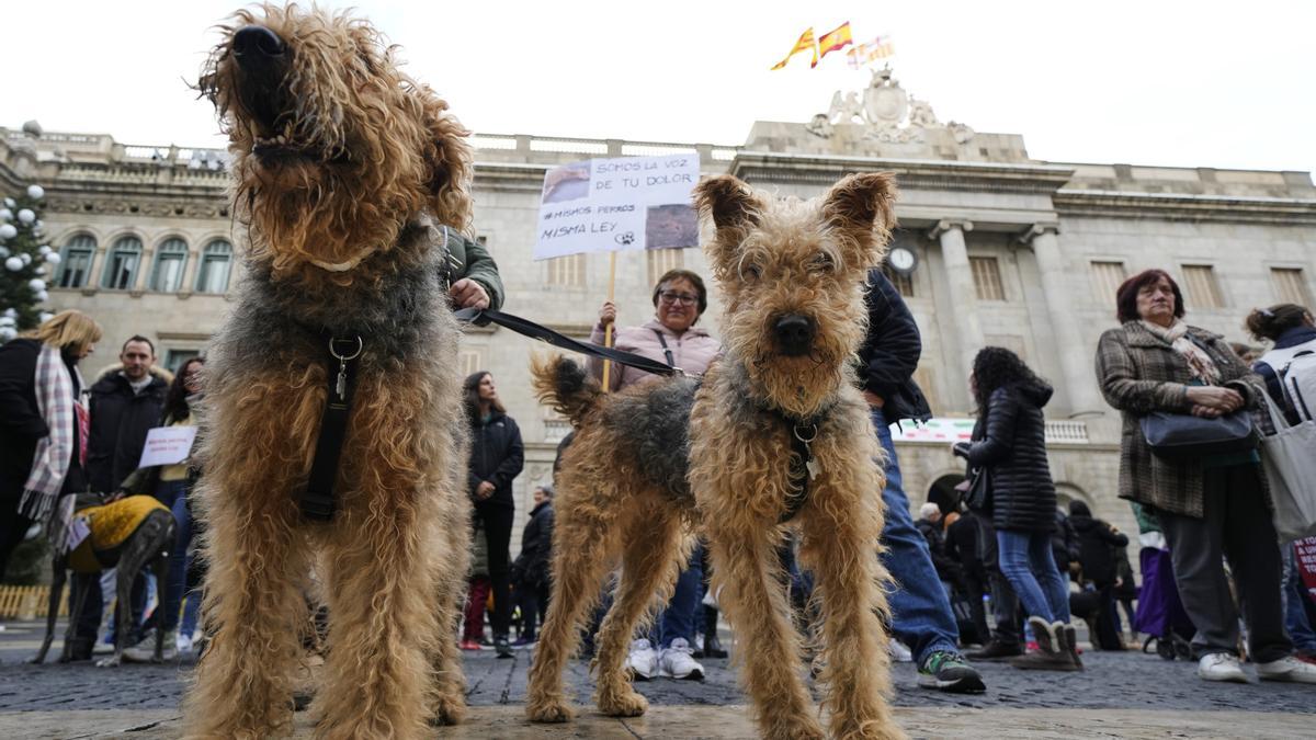 Protesta organizadas por el Partido Animalista PACMA