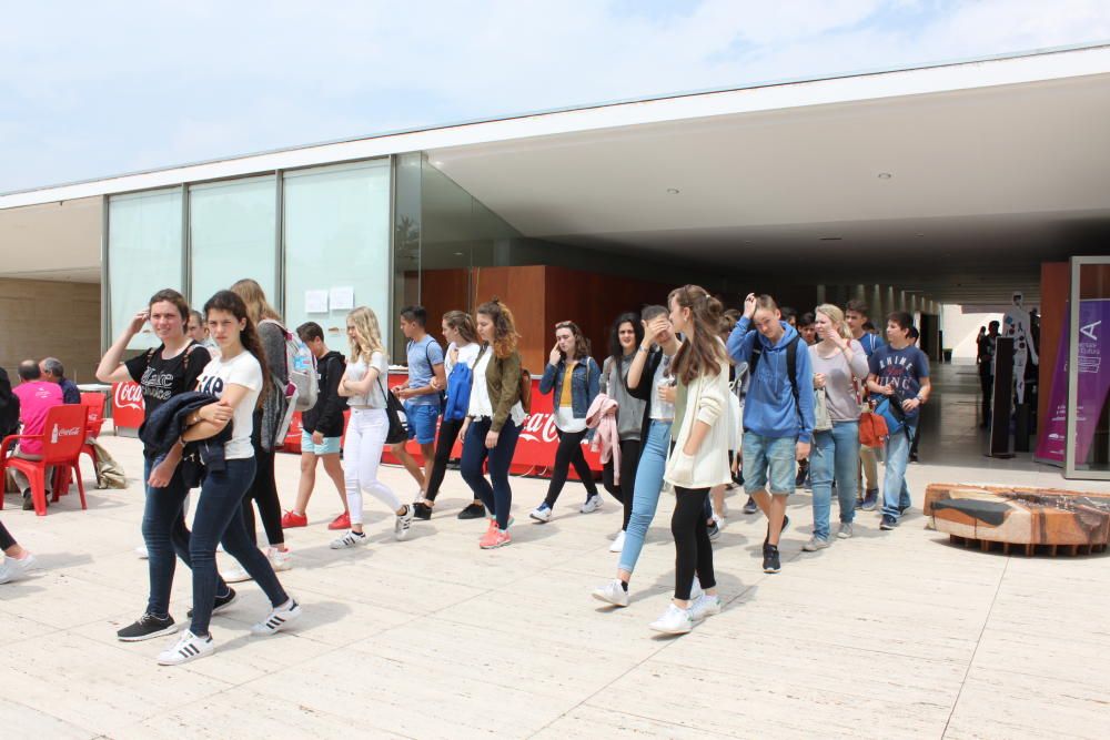 El MUA acoge las II Jornadas de Indrustrias Culturales y Creativas "Aliméntate de la Cultura"