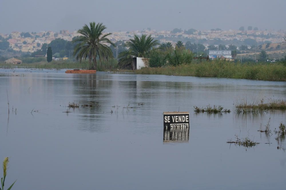 La DANA deja cuantiosos daños en este municipio de la Vega Baja